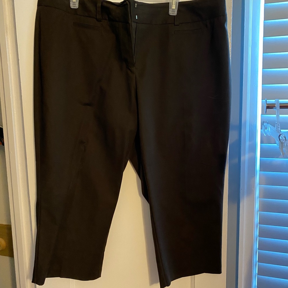 Apt 9 Capri slacks. This color is perfect for fall!